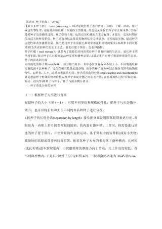 种子的加工与储藏