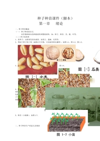 种子种苗学课件