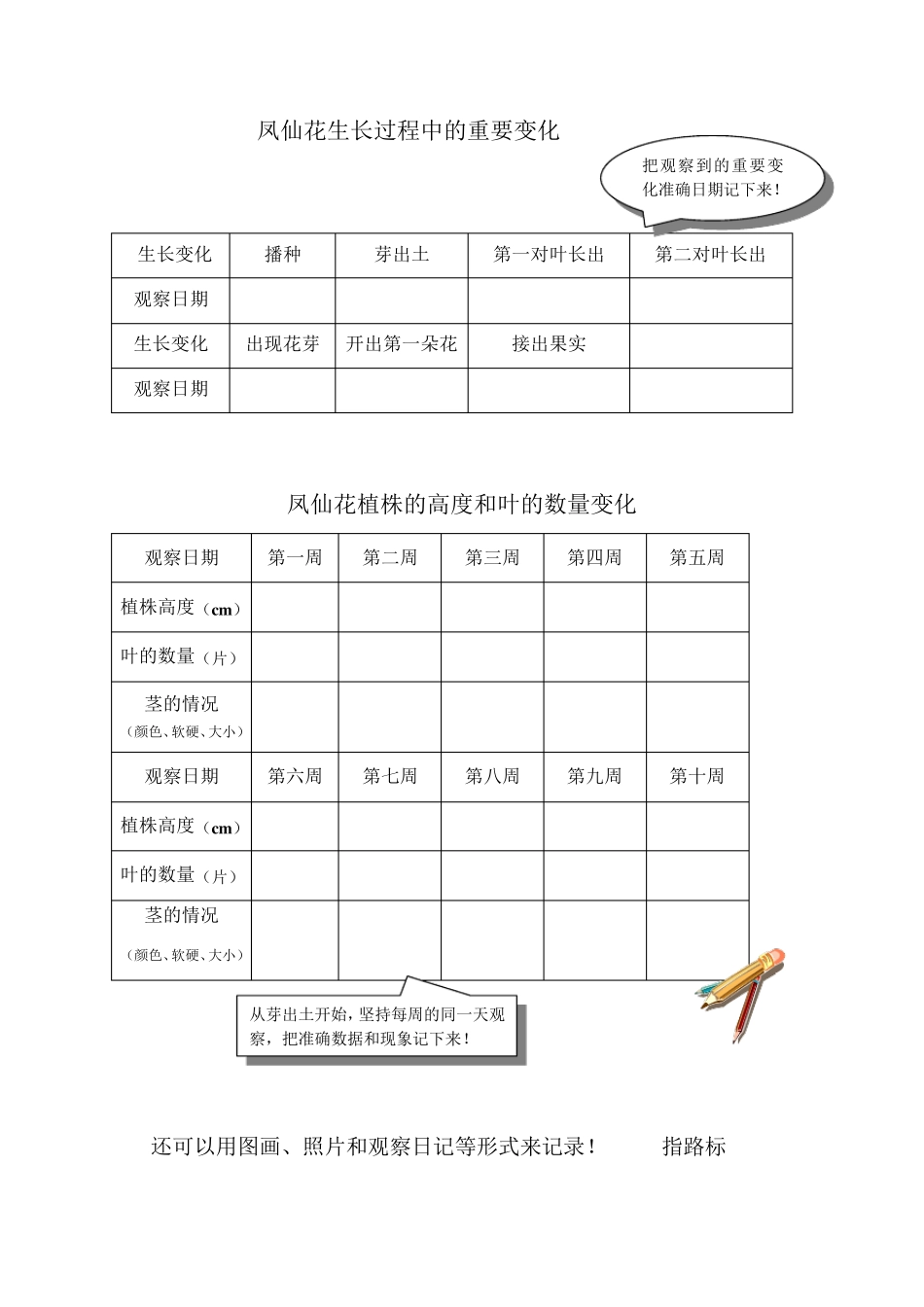 种植单元学生记录表格参考_第3页