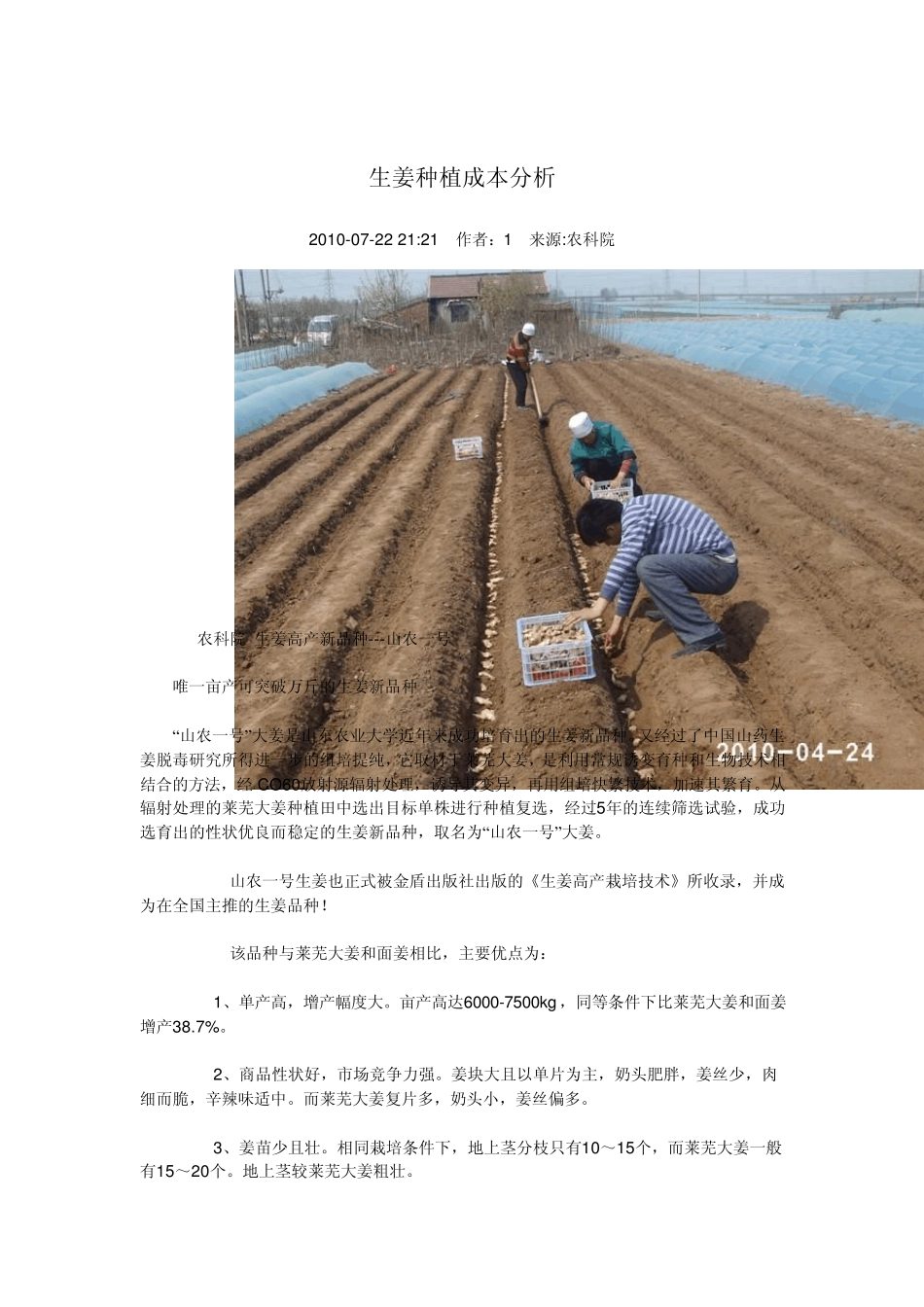 种植技术(生姜)_第3页