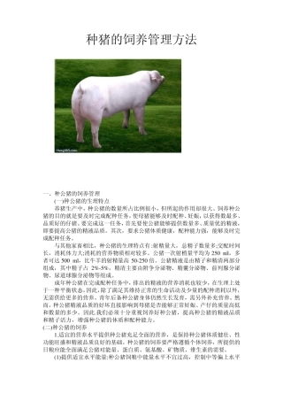 种猪的饲养管理方法