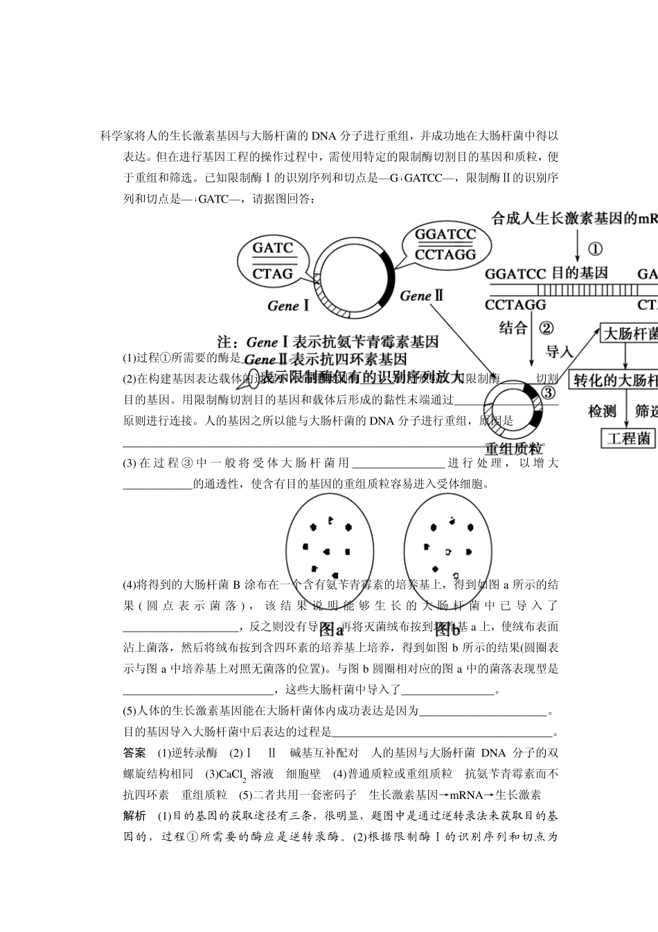 科学家将人的生长激素基因与大肠杆菌的DNA分子进行重组_第1页