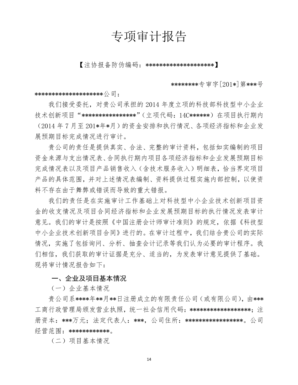 科技型中小企业技术创新项目验收专项审计报告_第2页