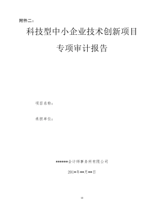 科技型中小企业技术创新项目验收专项审计报告