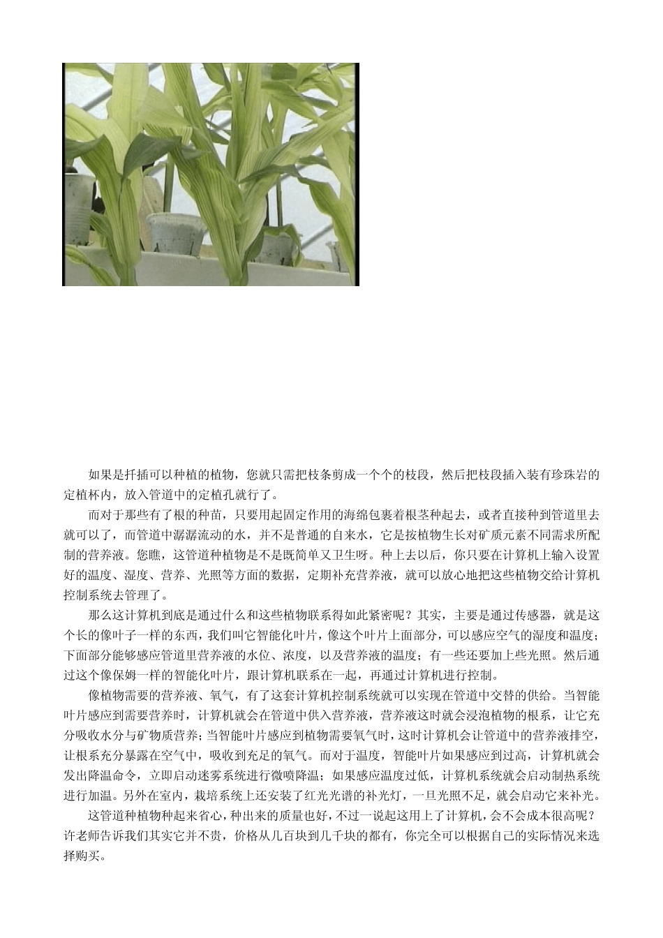 科技苑、《管道安家》(2005.4.18)管道无土栽培_第3页