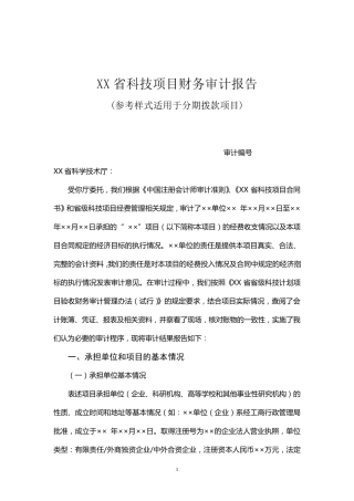 科技项目审计报告