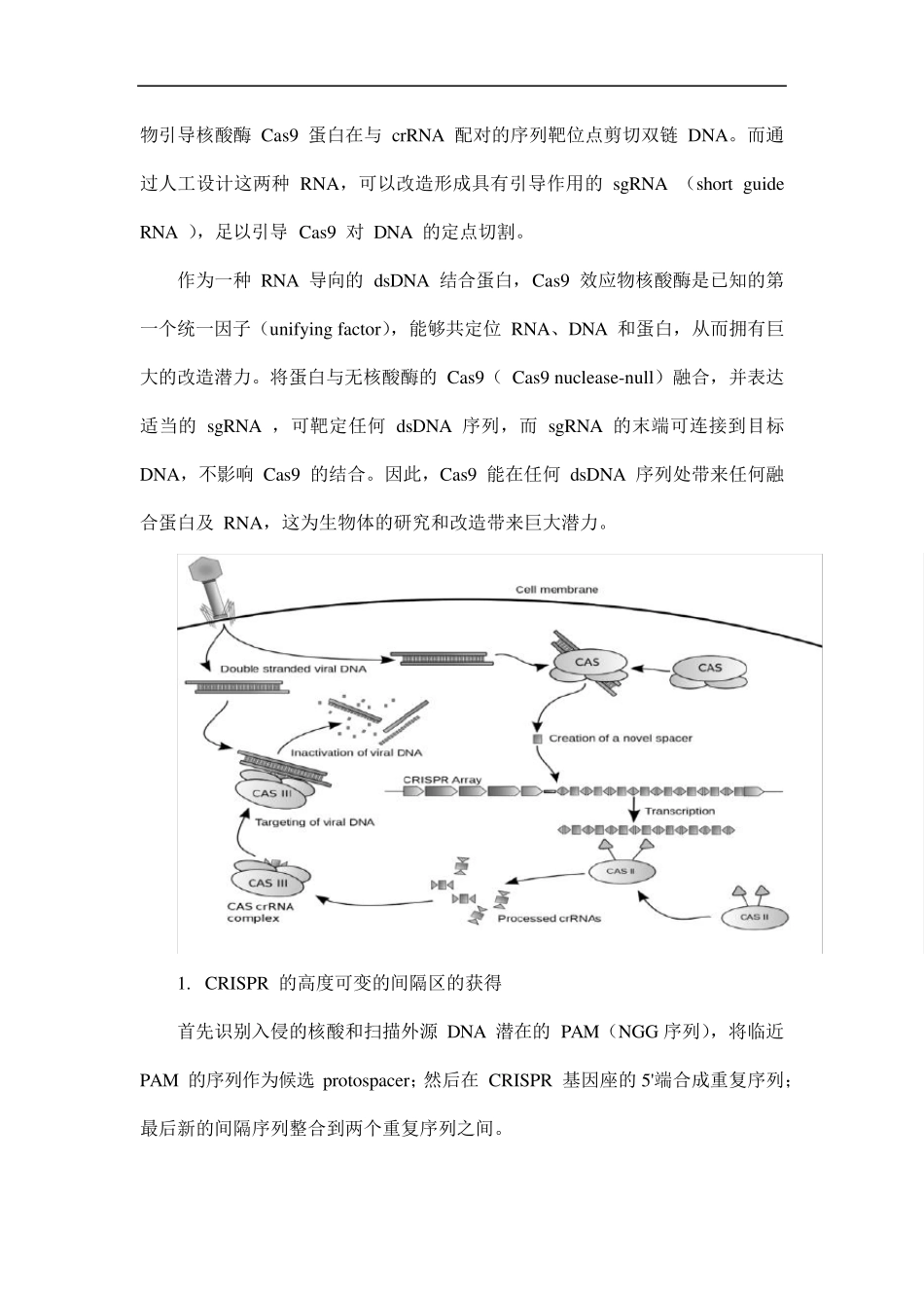 科研界的新宠crisprcas9_第2页