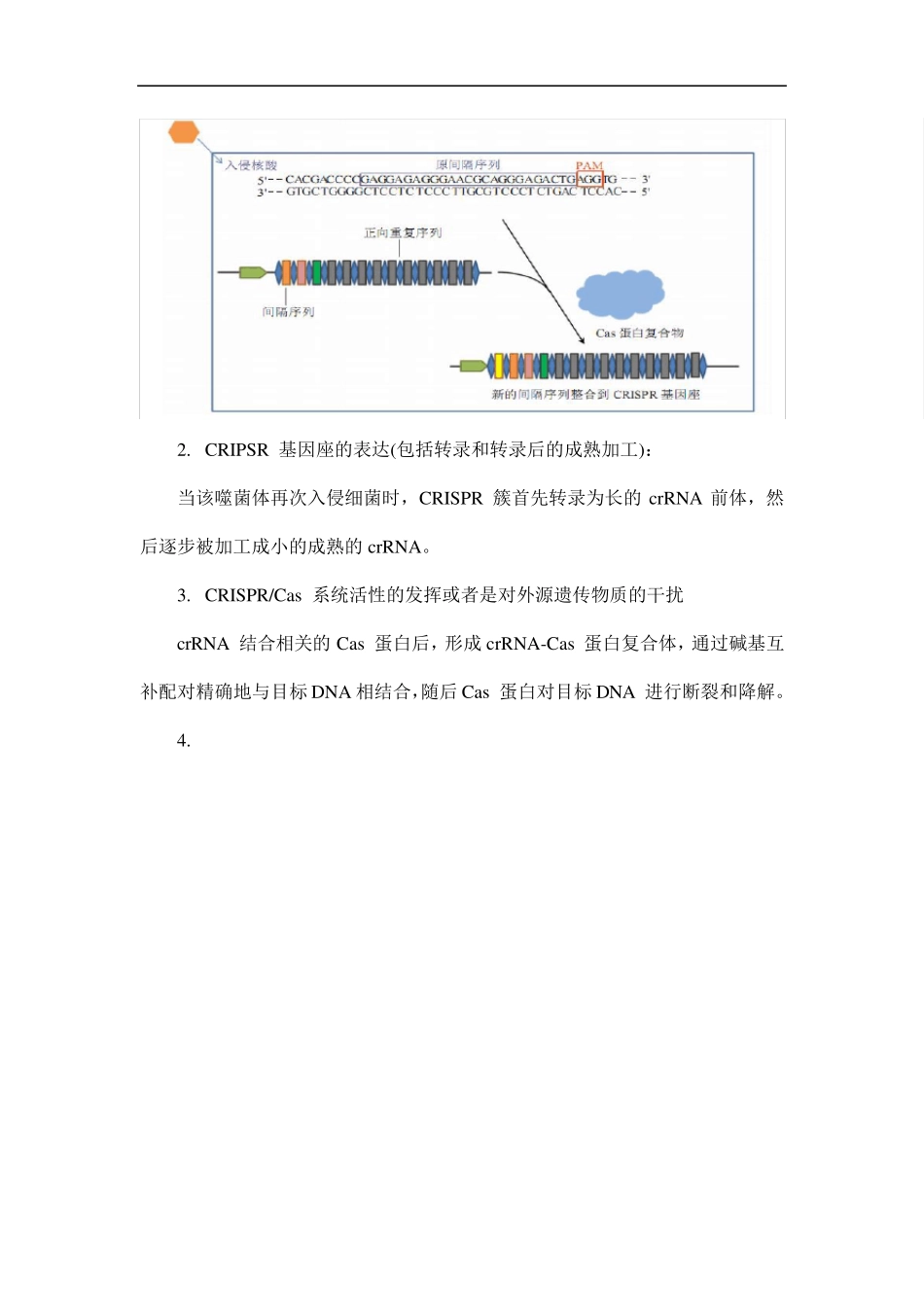 科研界的新宠crisprcas9_第3页