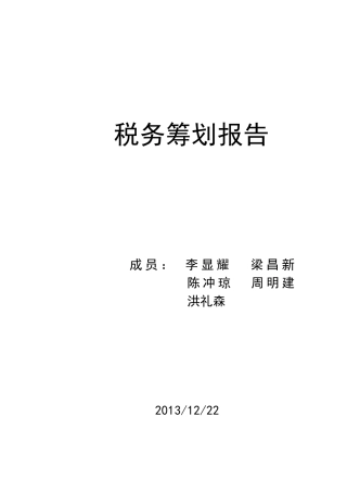 税务筹划报告