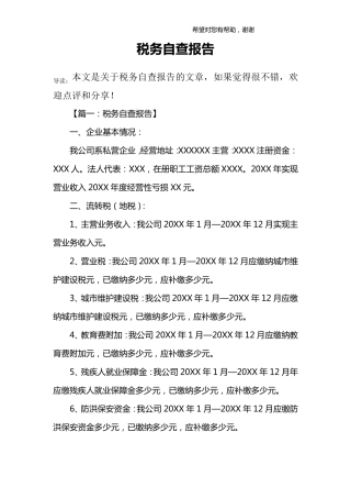 税务自查报告