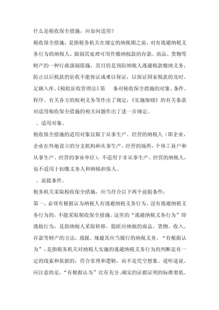 税收保全的适用