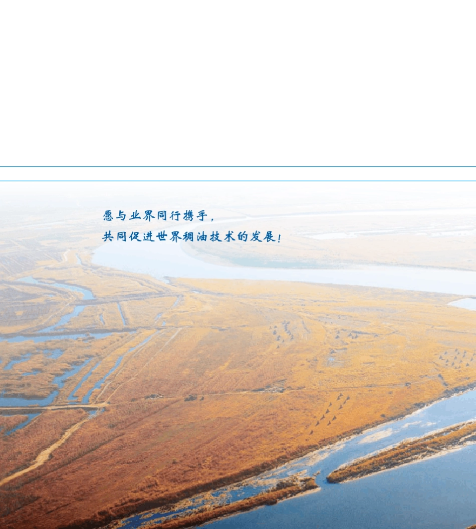 稠油热采技术简介_第2页