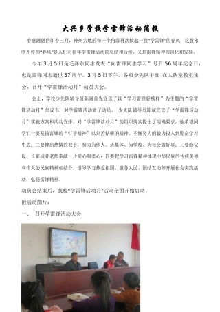 大兴乡学校学雷锋活动简报