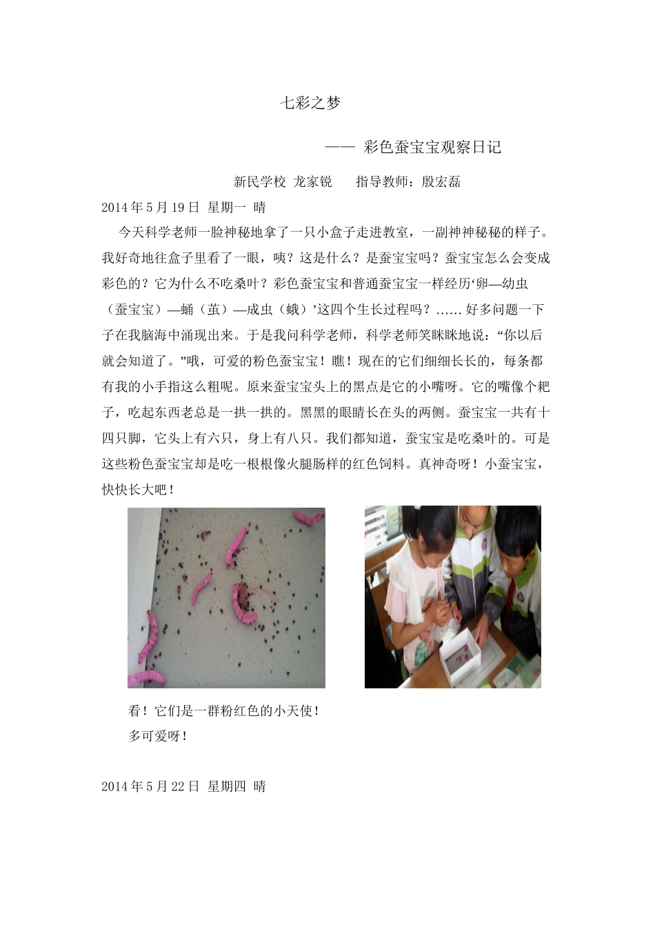 七彩之梦————彩色蚕宝宝观察日记_第1页