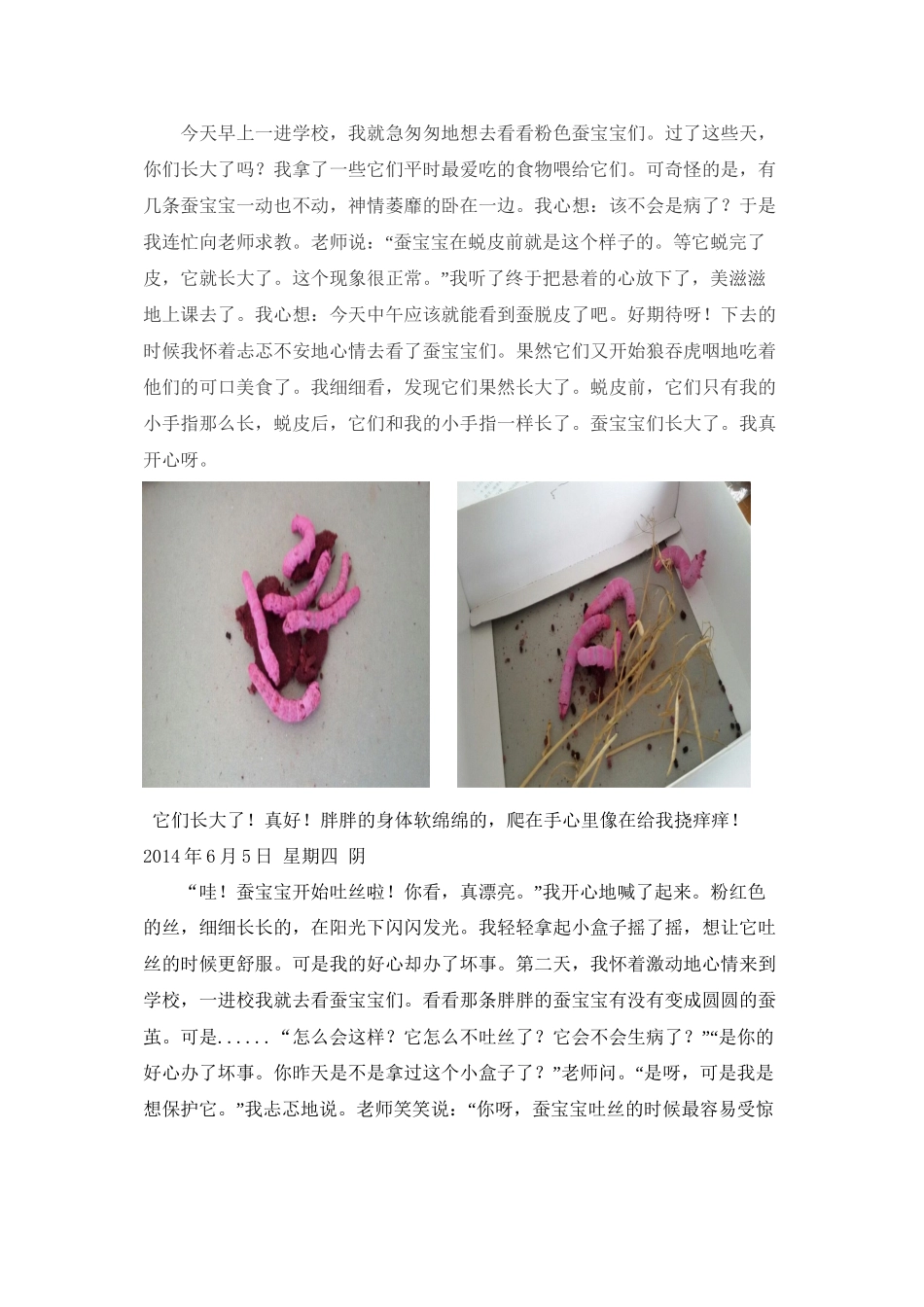 七彩之梦————彩色蚕宝宝观察日记_第2页