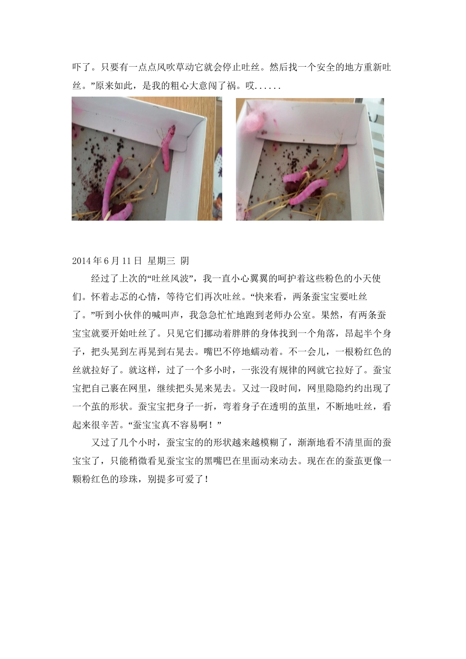 七彩之梦————彩色蚕宝宝观察日记_第3页