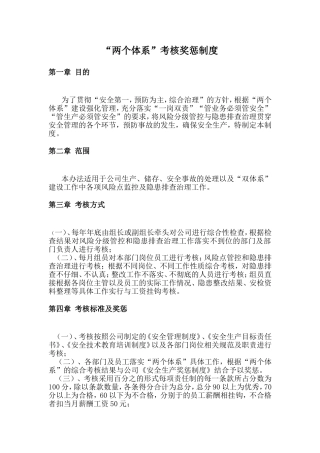 XXX公司双体系奖惩制度