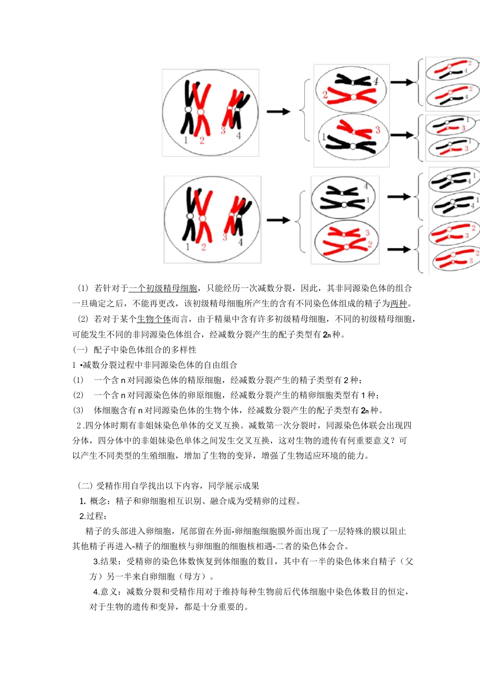 受精作用-教案设计_第2页