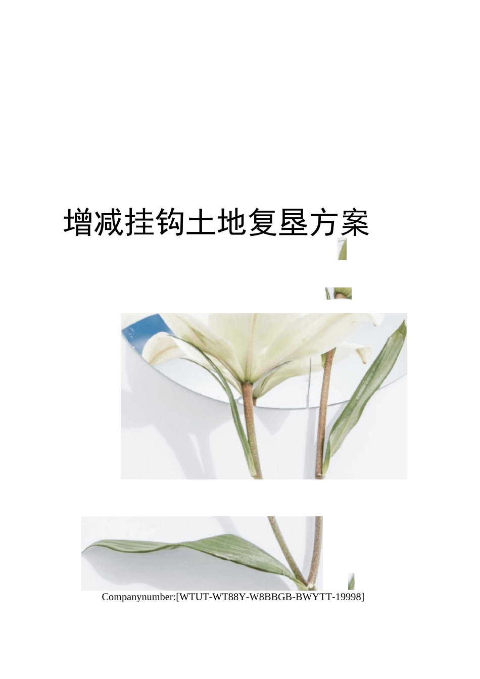 增减挂钩土地复垦方案_第1页