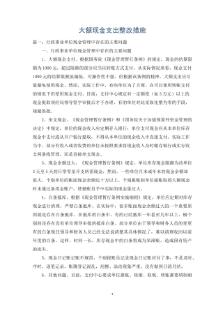 大额现金支出整改措施