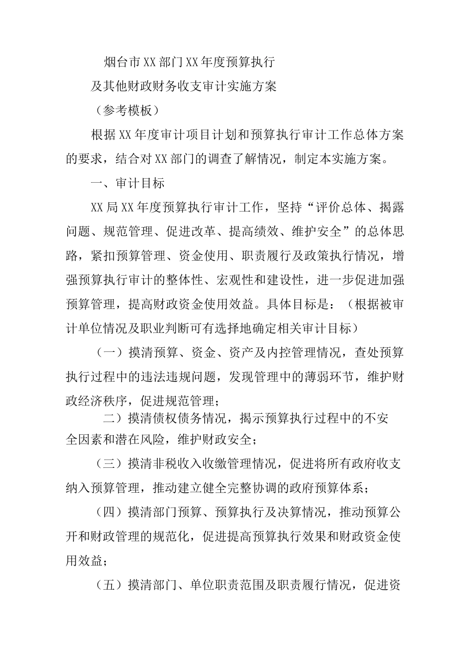 预算执行审计工作方案_第3页