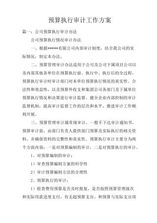 预算执行审计工作方案