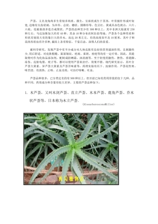 芦荟品种大全(配图)
