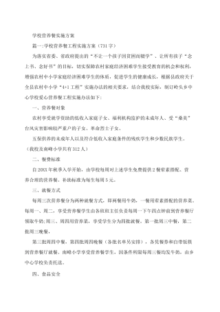学校营养餐实施方案