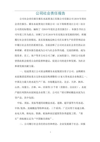 公司社会责任报告