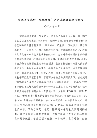 稻鸭共生调查报告