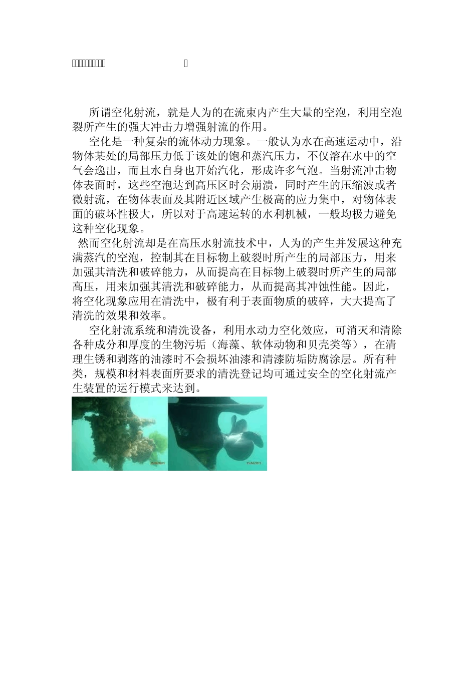 空化射流船体清洗报告_第3页
