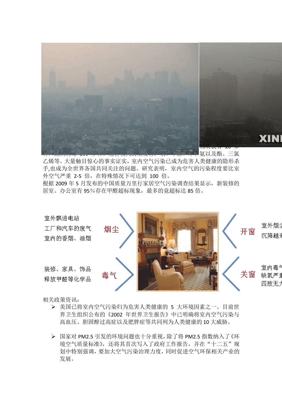 空气净化器可行性分析报告_第3页
