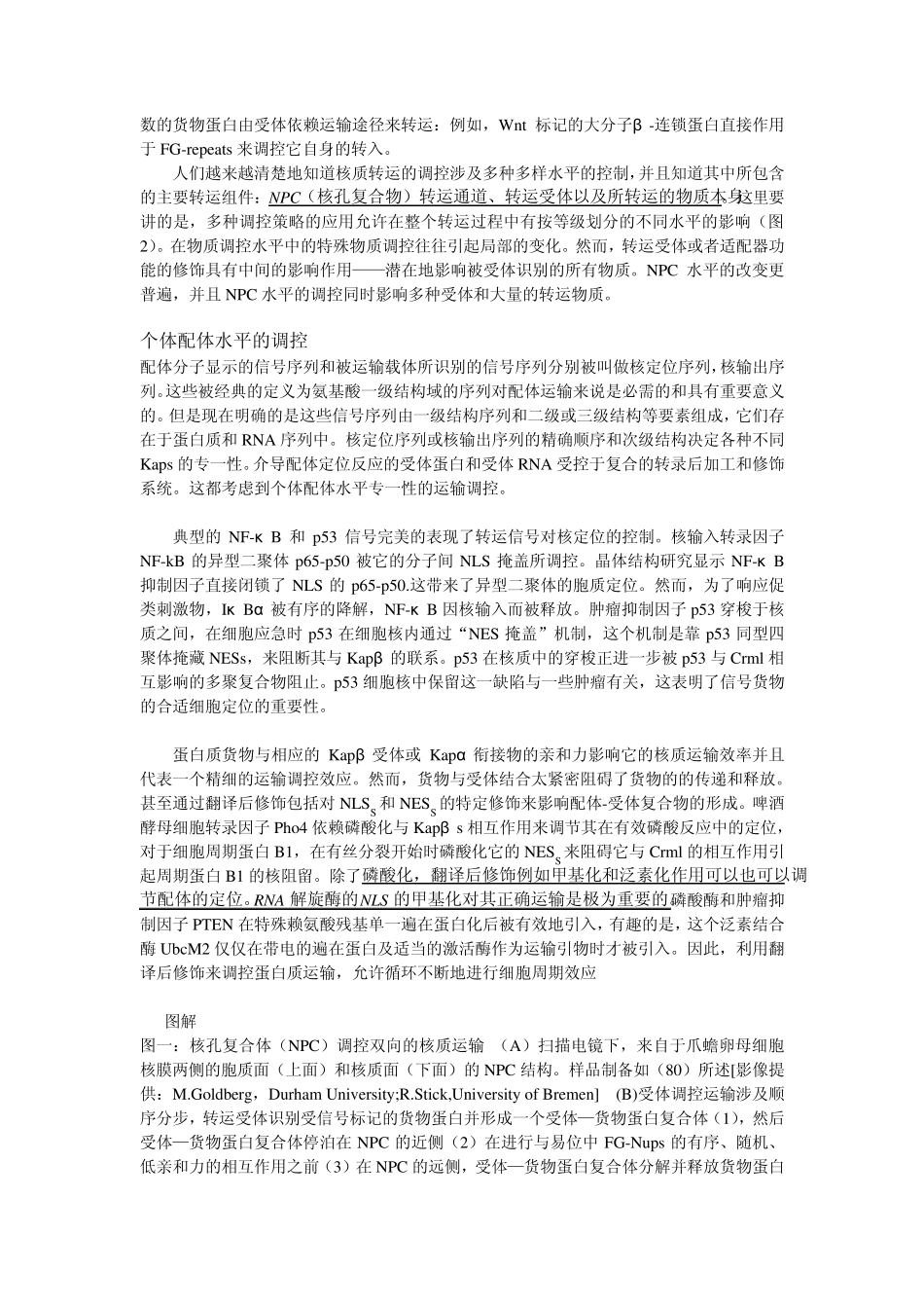 穿过核被膜：核质转运的有序调控_第2页