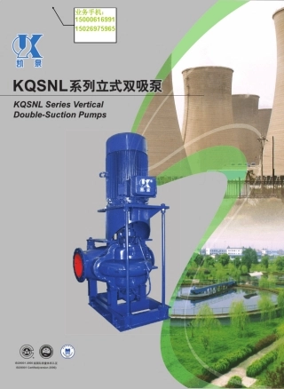 立式双吸泵KQSNL系列