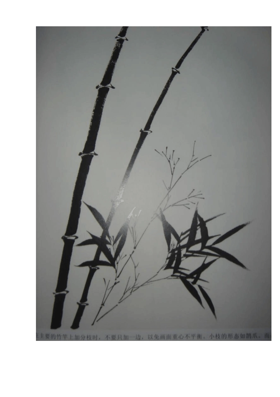 竹子的经典画法_第2页