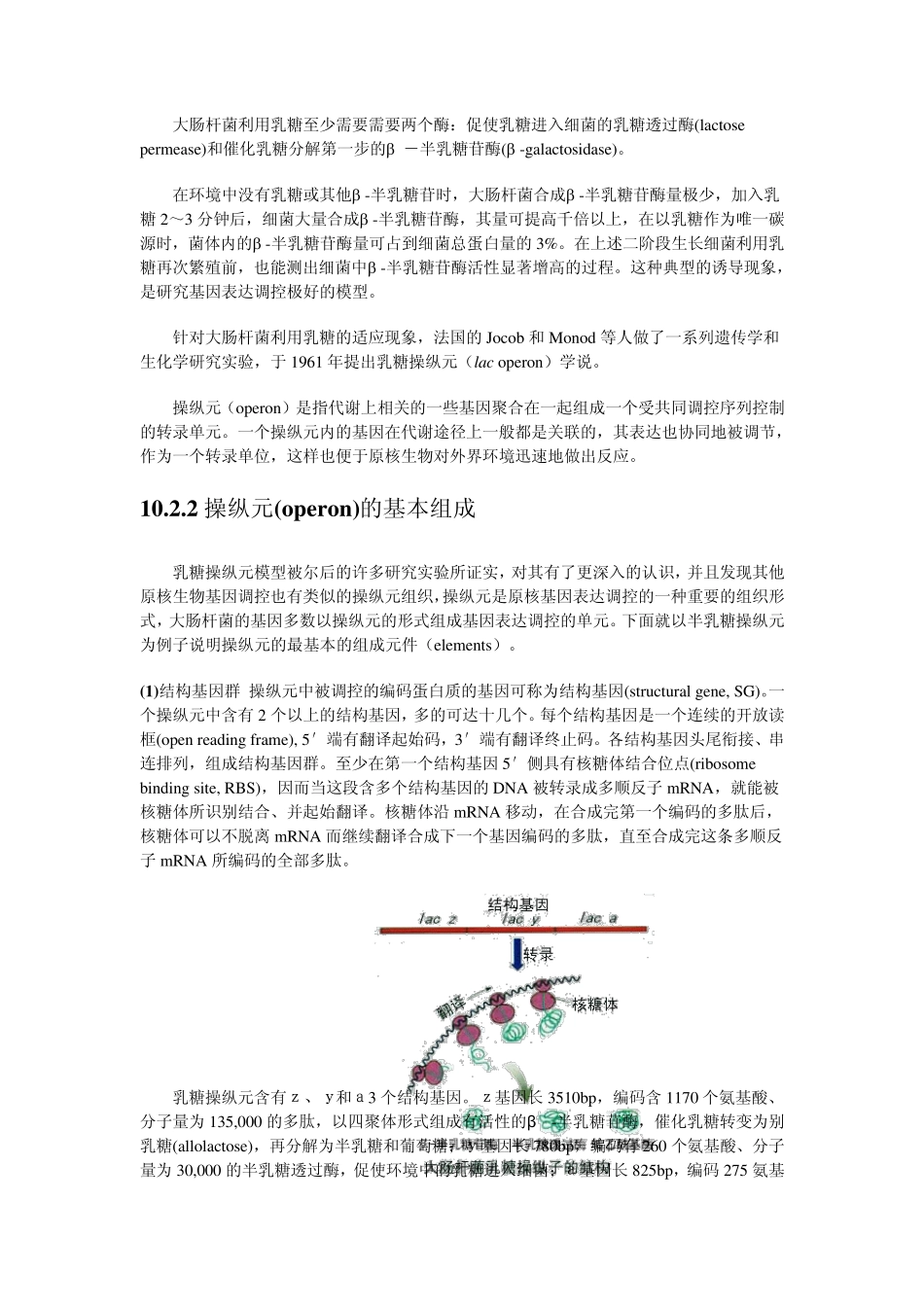 第10章原核生物基因表达的调控_第2页