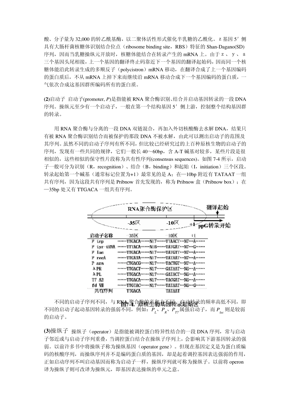 第10章原核生物基因表达的调控_第3页