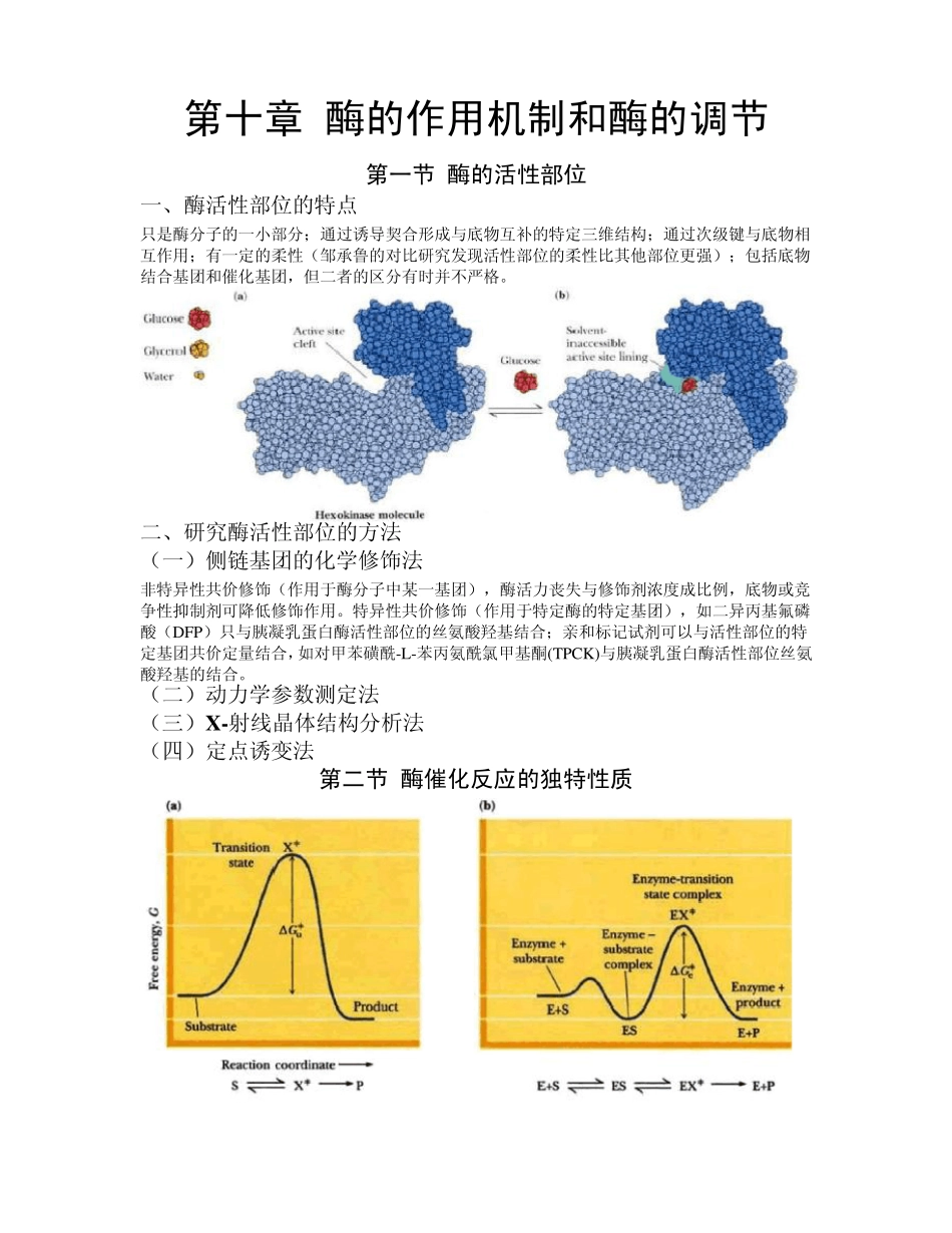 第10章酶的作用机制和酶的调节_第1页