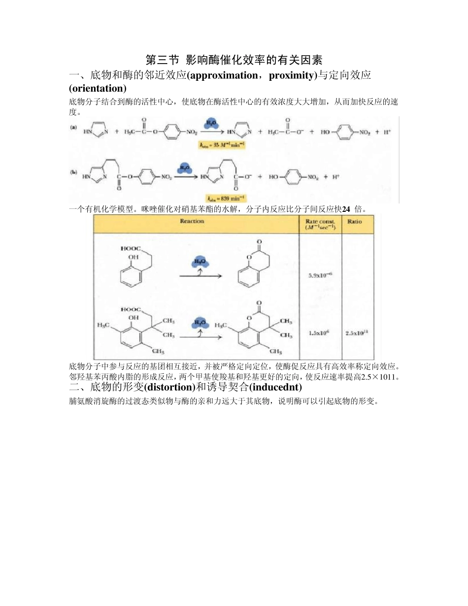 第10章酶的作用机制和酶的调节_第2页