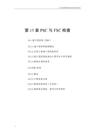 第13章PSC与FSC检查