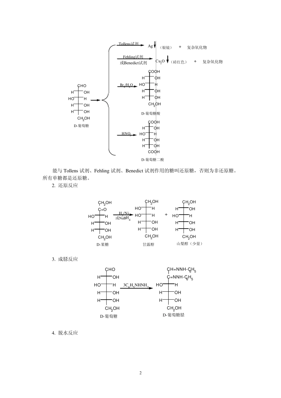 第16章糖类_第2页