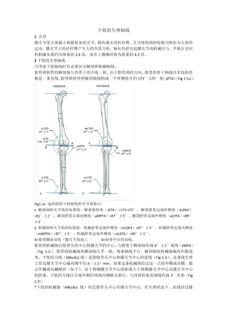第1章下肢的生理轴线