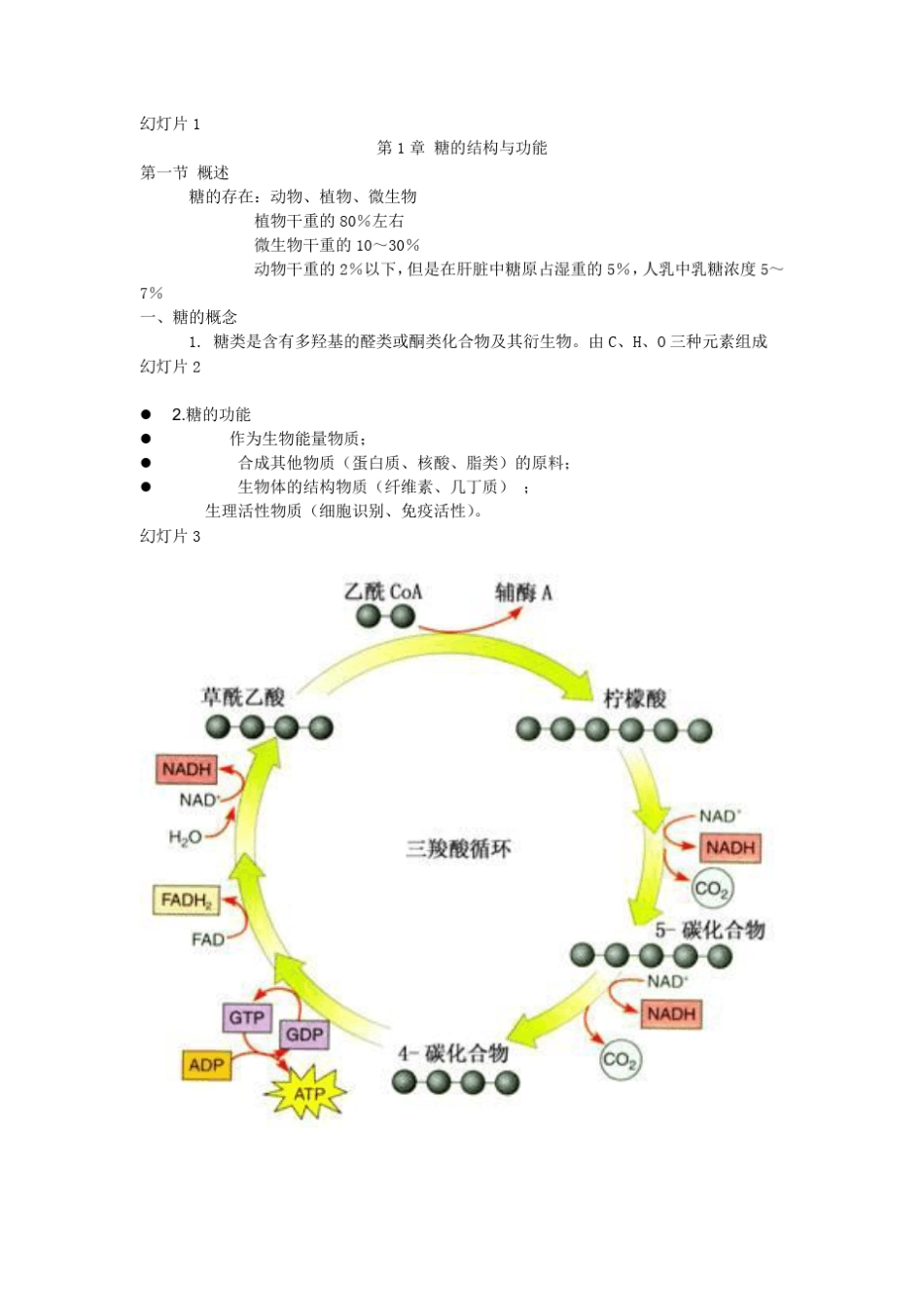 第1章糖的结构与功能_第1页