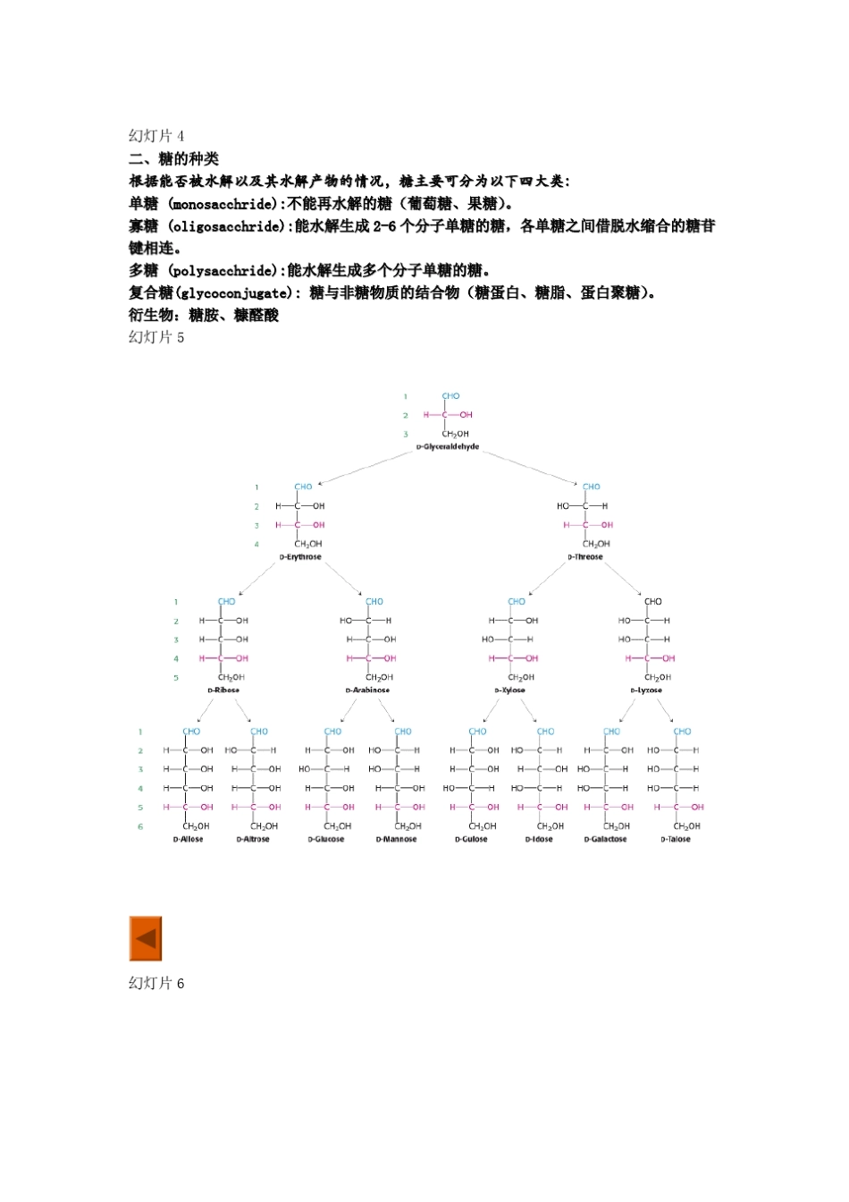 第1章糖的结构与功能_第2页
