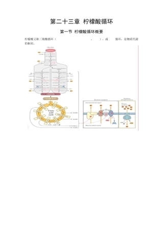 第23章柠檬酸循环