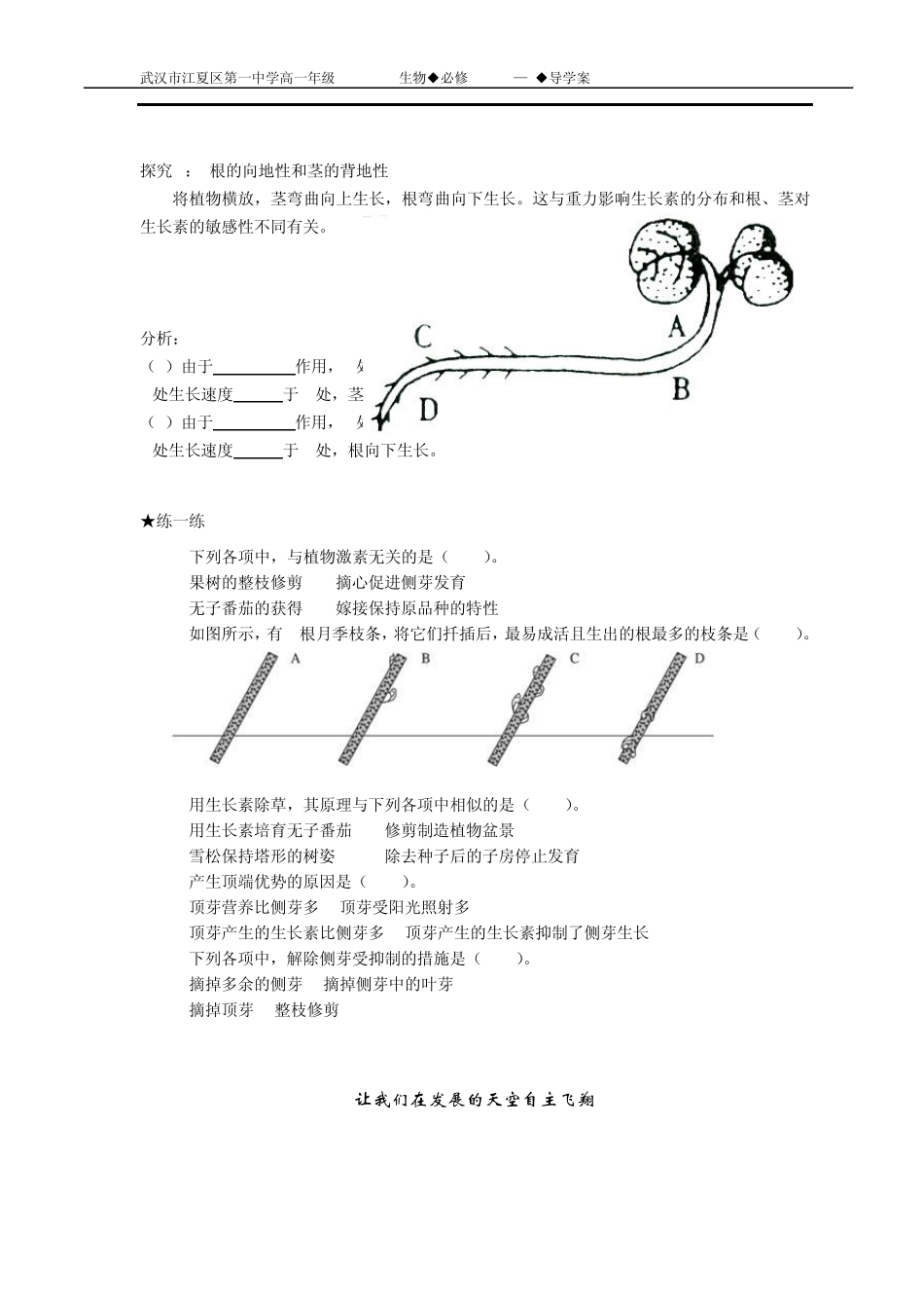 第2节生长素的生理作用导学案修改_第3页