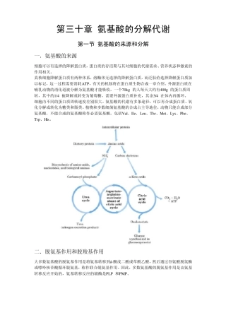 第30章氨基酸的分解代谢