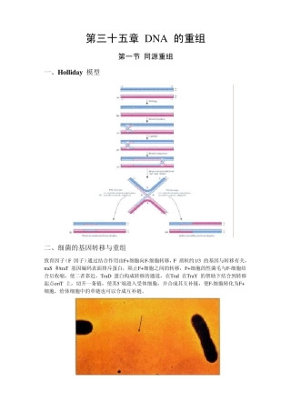 第35章DNA的重组