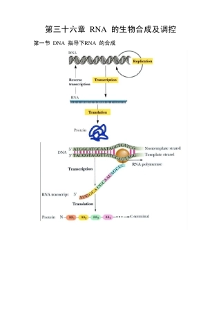 第36章RNA的生物合成及调控