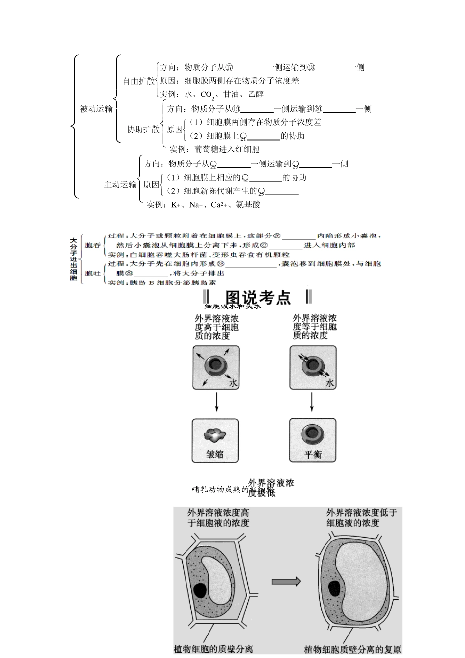 第3讲物质跨膜运输的实例与物质跨膜运输的方式_第2页